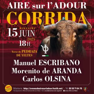 Féria d’Aire sur l’Adour