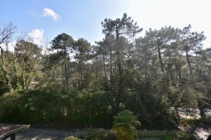 52437621  – Maison – 8 pièces à SOORTS HOSSEGOR