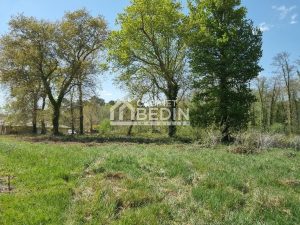 52437286  – Terrain à ST PAUL EN BORN