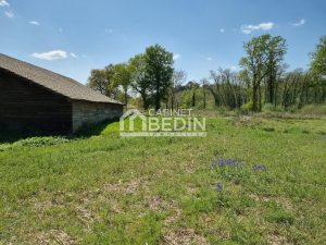 52437275  – Terrain à ST PAUL EN BORN