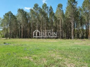 52437275  – Terrain à ST PAUL EN BORN