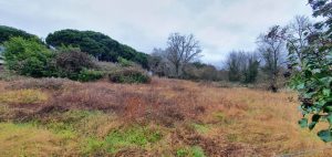 52413263  – Terrain à MONT DE MARSAN