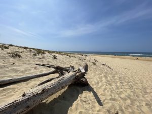 Villa sur la Dune Moliets