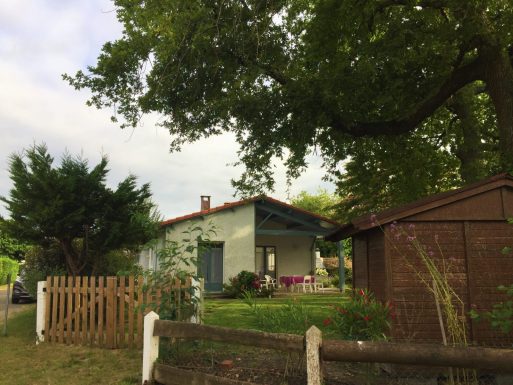 Les Vieux Chênes du Lac