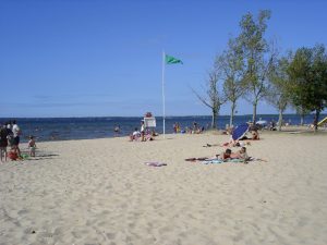 Les Vieux Chênes du Lac