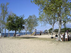 Les Vieux Chênes du Lac