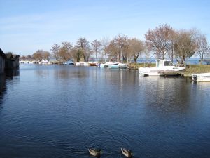 Les Vieux Chênes du Lac