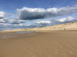 Les Vieux Chênes du Lac