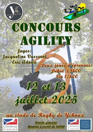 Concours Agility dog