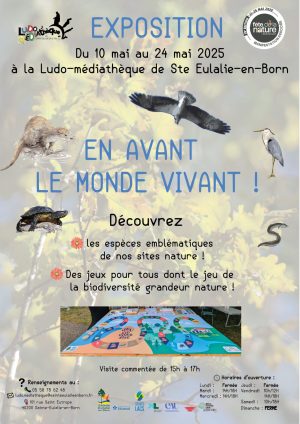 Exposition nature : « En avant le monde vivant ! »