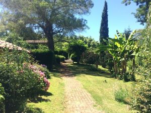 Gîte Matilon « Douceur Landaise »