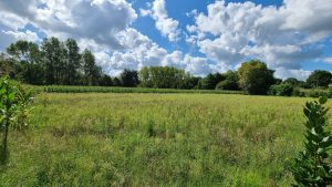 52220362  – Terrain à PEYREHORADE