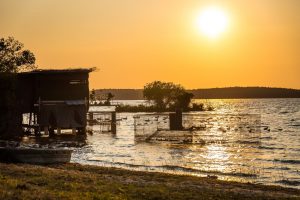 Découverte des prairies au bord du lac de Parentis