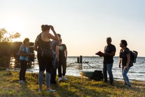 Découverte des prairies au bord du lac de Parentis