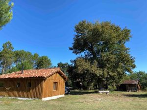 Le Gîte du Rucher d’Esleys, cocooning en forêt