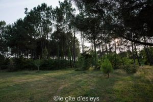 Le Gîte du Rucher d’Esleys, cocooning en forêt