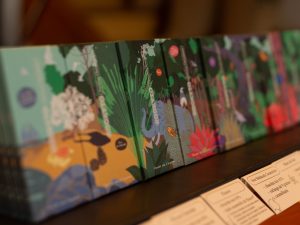 A la découverte du cacao et du chocolat