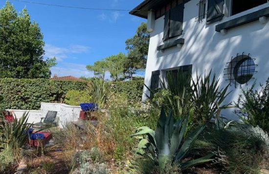 ADJERIME – Palomas studio