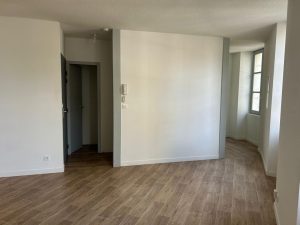 52533931  – Appartement – 1 pièces à ST SEVER