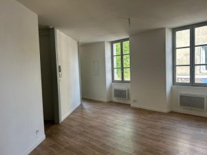 52533931  – Appartement – 1 pièces à ST SEVER
