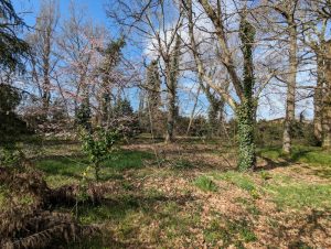 52108504  – Terrain à MONT DE MARSAN