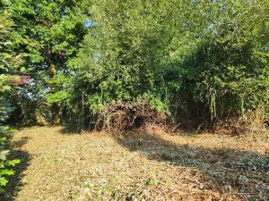 51951092  – Terrain à SANGUINET