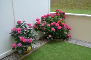 Appartement Bouteille