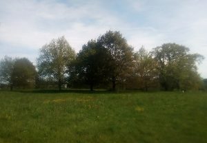 Le Refuge d’Eugénie –  Armagnac