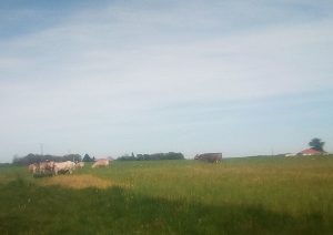 Le Refuge d’Eugénie –  Armagnac