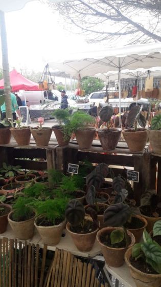 Marché traditionnel saisonnier