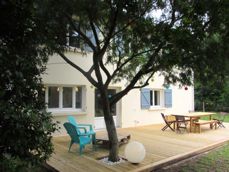 Les étoiles dans l&rsquo;arbre