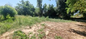 52480235  – Terrain à MONT DE MARSAN