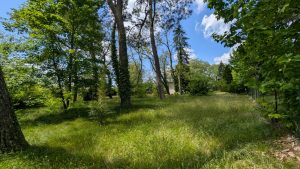 52523838  – Terrain à MONT DE MARSAN