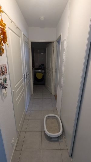 52581771  – Appartement – 2 pièces à MONT DE MARSAN