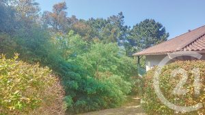 52516063  – Appartement – 2 pièces à ONDRES