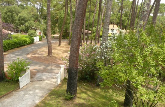 Schnee – Sous les Pins