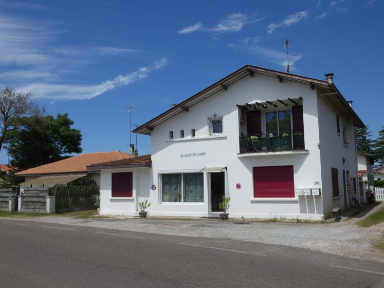 Au soleil des Landes