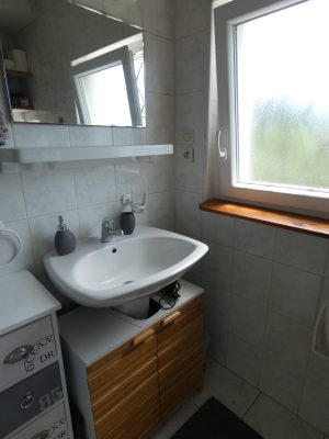 Au soleil des Landes