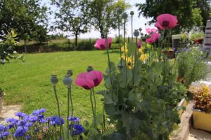 La grange de Broustic