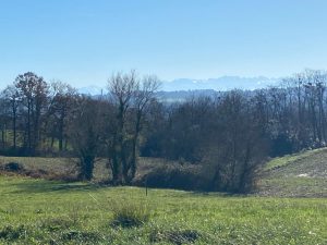 51780533  – Terrain à GAUJACQ