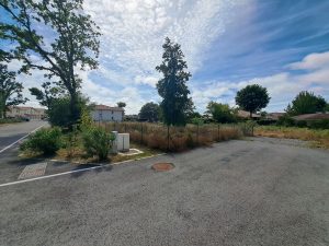 52646393  – Terrain à LEON