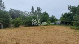 52653671  – Maison – 3 pièces à RION DES LANDES