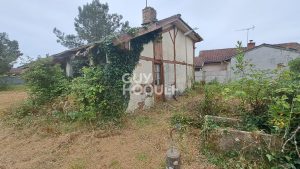 52653671  – Maison – 3 pièces à RION DES LANDES