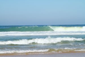 BEL AIR PLAGE – Kakatoes