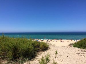 BEL AIR PLAGE – Rouge Gorge