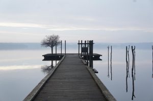 L&rsquo;Océan des Landes