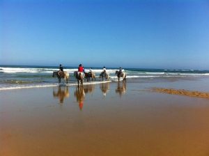 L&rsquo;Océan des Landes