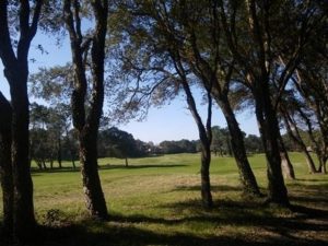 L&rsquo;Océan des Landes