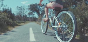 L&rsquo;Océan des Landes