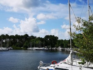 Gite de l&rsquo;Estey – Maison cosy rénovée, max 9 pers, à 800m à pied du Lac de Sanguinet – SPA & Vélos